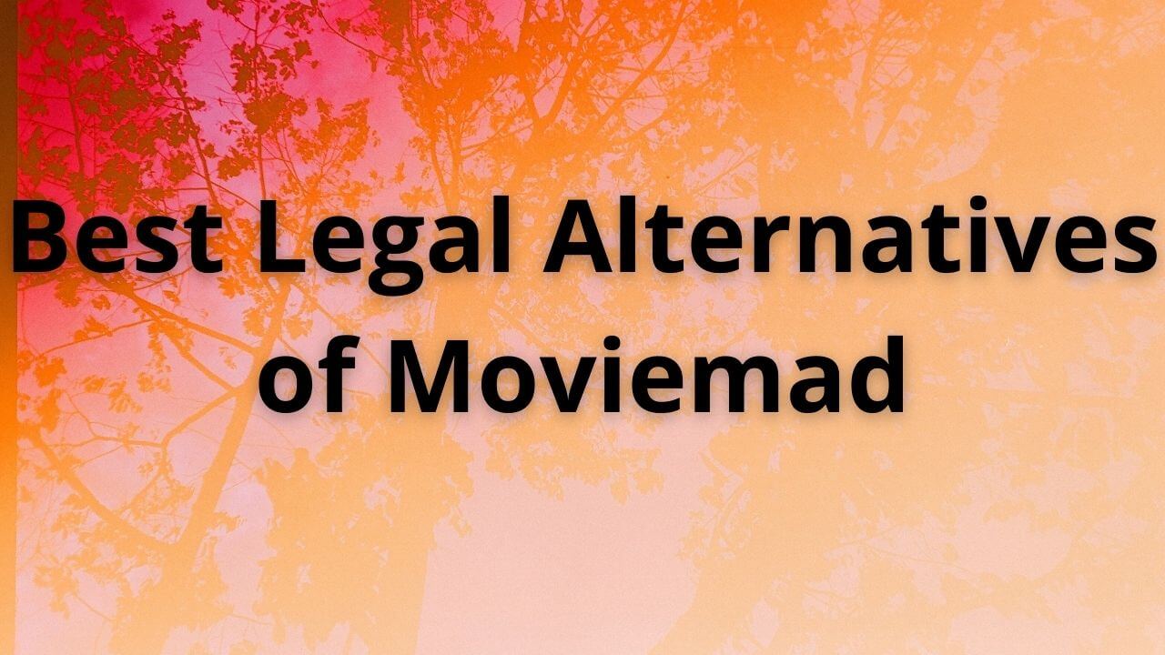 Best Legal Alternatives of Moviemad