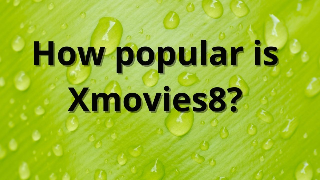 How popular is Xmovies8?