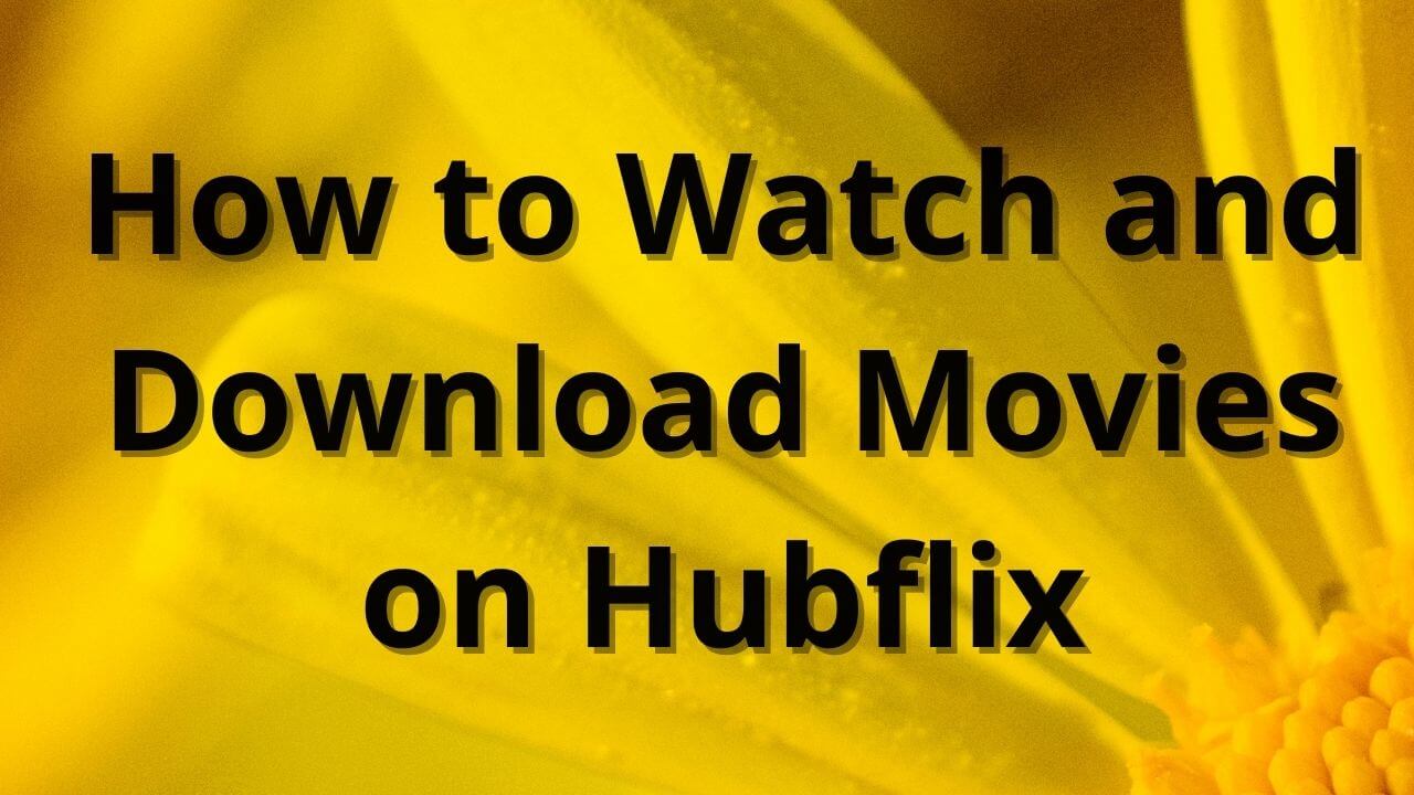 How to Watch and Download Movies on Hubflix